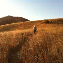 My Gen X Playlist:  Fields of Gold – Sting