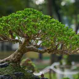 My Gen X Playlist:  Everything Zen – Bush