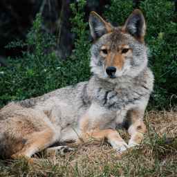 My Gen X Playlist:  Kids in America – Kim Wilde