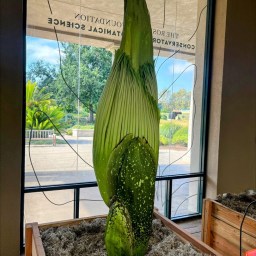 My Gen X Playlist:  How Soon is Now – The Smiths