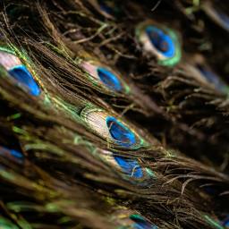 My Gen X Playlist:  Space Age Love Song – A Flock of Seagulls