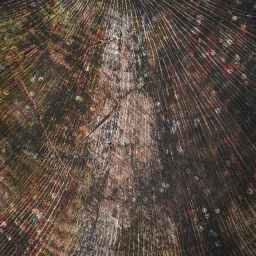 My Gen X Playlist:  The Lucky One – Alison Krauss and Union Station