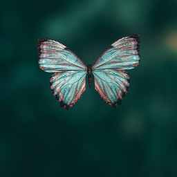 My Gen X Playlist:  Perfect – The Smashing Pumpkins