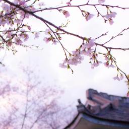 My Gen X Playlist:  Follow You Down – Gin Blossoms